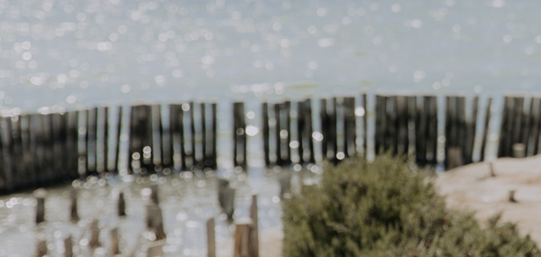 Soleil Blanc Capsule Collection: The Lookbook