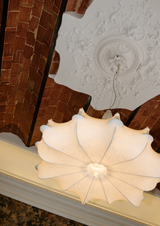 FESTIVE FAUVE Lookbook